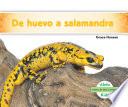 libro De Huevo A Salamandra (becoming A Salamander )